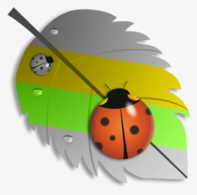 Transparent Splash Effect Png - Ladybug, Png Download, Free Download