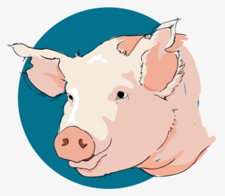 Transparent Cartoon Nose Png - Tete De Cochon Dessin, Png Download, Free Download