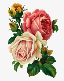 Papirolas Coloridas Flores De - Victorian Roses, HD Png Download, Free Download