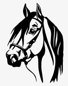 Horse Head Silhouette Png For Kids - Outline Horse Head Silhouette, Transparent Png, Free Download