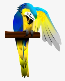 Blue And Gold Macaw, Parrot, Macaw, Bird, Colorful, HD Png Download, Free Download