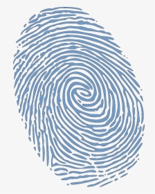 Fingerprint Transparent Identity Theft - Finger Print Black With No Background, HD Png Download, Free Download