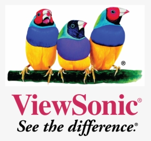 Viewsonic Logo Png, Transparent Png, Free Download
