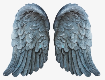 Feather Angel Wings Png, Transparent Png, Free Download