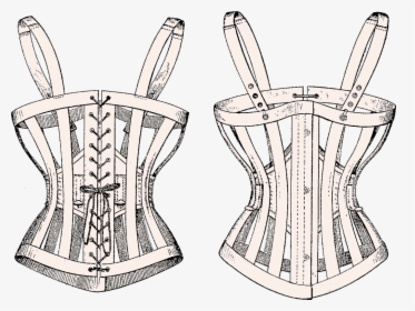 Picture - Skeleton Corset 1870, HD Png Download, Free Download