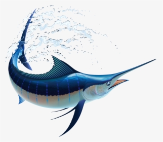Blue Marlin Sailfish, HD Png Download, Free Download