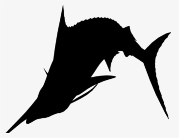Sailfish Png Transparent Images - Portable Network Graphics, Png Download, Free Download