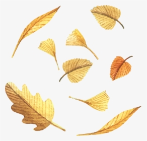 Clipart Leaf Yellow Birch - Autumn, HD Png Download, Free Download
