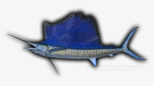 Swordfish, HD Png Download, Free Download