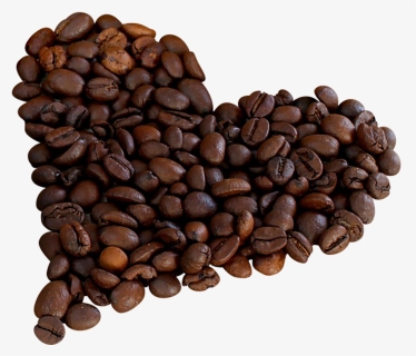 Single Coffee Bean Png - Png Clipart Coffee Beans Png, Transparent Png, Free Download