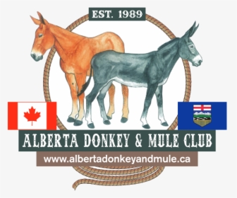Alberta Donkey And Mule Club - Working Animal, HD Png Download, Free Download
