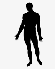 Human Body Silhouette Homo Sapiens Photography - Man Body Silhouette Png, Transparent Png, Free Download