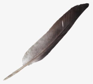 Feather Png Clipart - Transparent Background Feather Pen Png, Png Download, Free Download