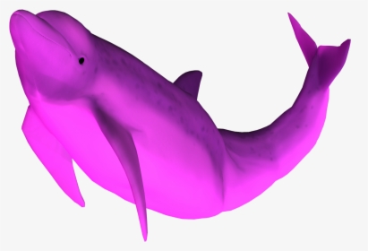 Transparent 3d Dolphin Png - Pink Dolphin No Background, Png Download, Free Download