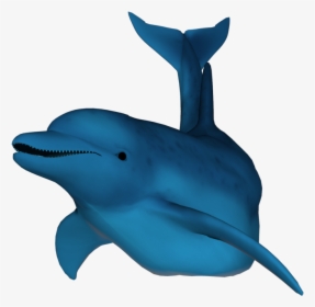 3d Dolphin Png , Png Download - Nin The Downward Spiral Meme, Transparent Png, Free Download