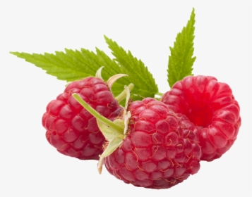 Raspberry Transparent Png Image, Png Download, Free Download
