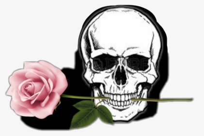 #rose #totenkopf #schädel, HD Png Download, Free Download