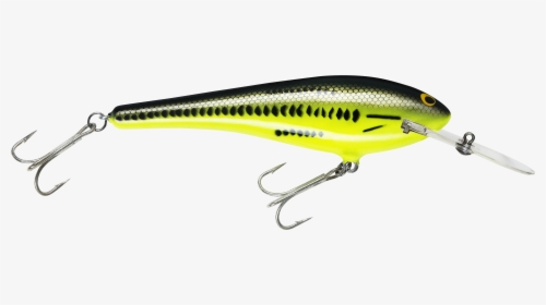 Transparent Grouper Png - Fishing Lure, Png Download, Free Download