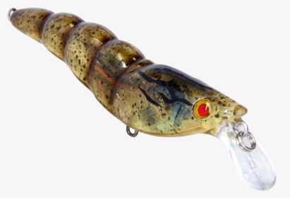 New Fishing Lures - Fish, HD Png Download, Free Download
