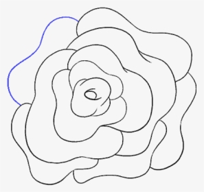 How To Draw A Rose Flower Easy Drawing Guides - Rose Flower Transparent Draw, HD Png Download, Free Download