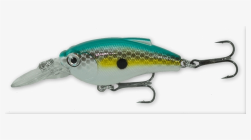Ranger - Sexy - Bait Fish, HD Png Download, Free Download