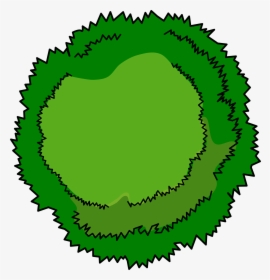 Bushes Clipart Tree Top - Tree Birds Eye View Clipart, HD Png Download, Free Download