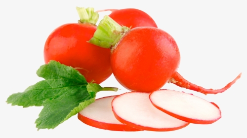 Radish Png - Vegetables Images With White Background, Transparent Png, Free Download