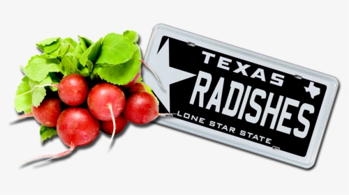 Black Texas License Plates, HD Png Download, Free Download