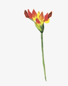 Red Spark Png - Artificial Flower, Transparent Png, Free Download