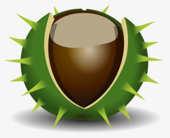 Chestnut Clipart, HD Png Download, Free Download