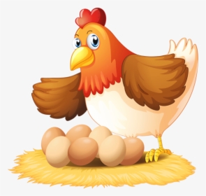 Hen With Eggs Png - Hen And Eggs Clipart, Transparent Png, Free Download