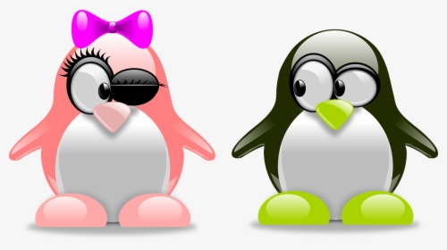 Valentines Day Couple Png High-quality Image - Tux Penguins, Transparent Png, Free Download