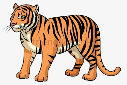 Tiger Bengal Clipart Wild Vector Cartoon Images Transparent - Tiger Clipart, HD Png Download, Free Download