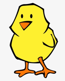Water Bird,artwork,yellow - Baby Chicken Clipart, HD Png Download, Free Download