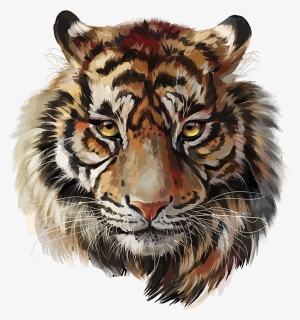 🐅#tiger #stripes #cartoon #tigerface - Tiger Watercolor, HD Png Download, Free Download