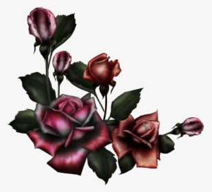 Gothic Flower Border Design - Gothic Roses Png, Transparent Png, Free Download