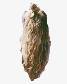Transparent Hair - Blond, HD Png Download, Free Download