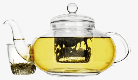 Lea Teapot 22oz Glass Teapot With Infuser Primula - Tea Infuser Tea Pot Glass, HD Png Download, Free Download