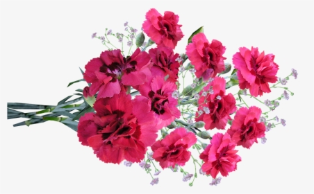Flowers, Pink, Carnations, Fragrant, Perfume - Bouquet, HD Png Download, Free Download