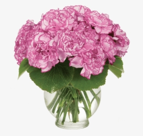Simply Carnations - Flower Bouquet, HD Png Download, Free Download