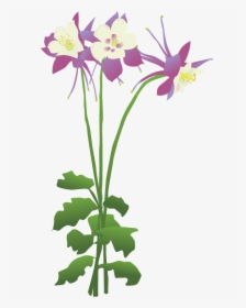 Columbine Flower Clipart Png, Transparent Png, Free Download