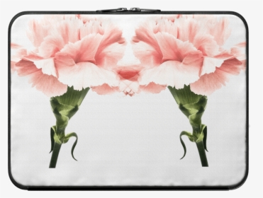 Carnations - A80 Vs Note 9, HD Png Download, Free Download