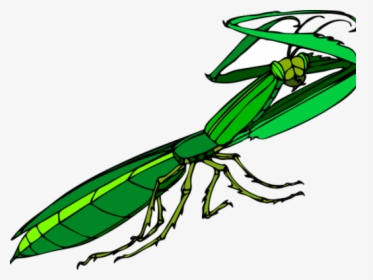 Transparent Praying Clipart - Praying Mantis Cartoon Png, Png Download, Free Download