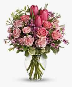 Carnations Png, Transparent Png, Free Download