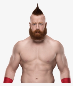 User Posted Image - Sheamus Png 2019, Transparent Png, Free Download