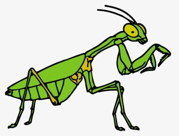 Transparent Praying Mantis Clipart - Free Praying Mantis Clipart, HD Png Download, Free Download