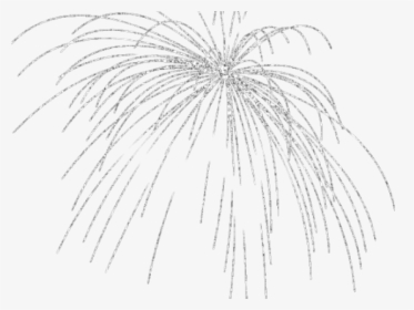 Transparent Fireworks Clipart Black And White - Sketch, HD Png Download, Free Download