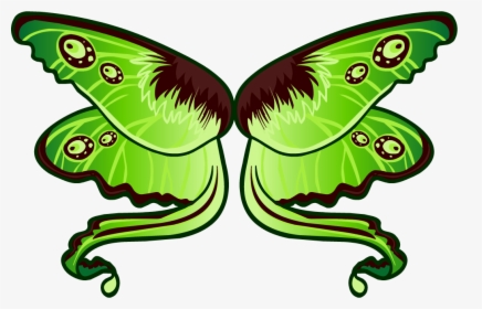 Transparent Moth Png - Club Penguin, Png Download, Free Download