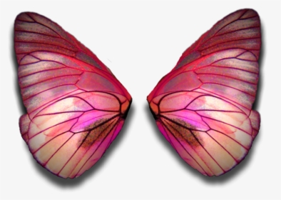 Fairy Wings Butterflywings Fairywings Faerywings Butterfly - Fairy Wings Red Png, Transparent Png, Free Download