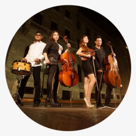 Tempus Quartet - Musical Ensemble, HD Png Download, Free Download